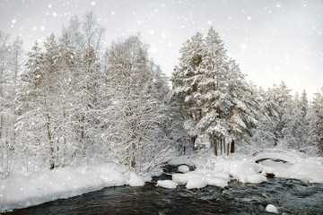 A fabulous winter day in the north of Karelia. Russia