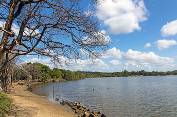 Lagoon at Umlalazi Nature Reserve at Mtunzini South Africa