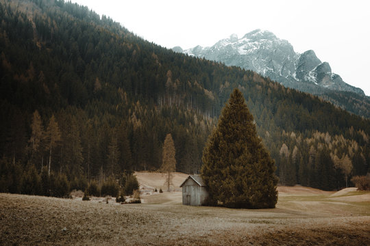 Scenic view of log cabin on rural field with trees and mountains in background