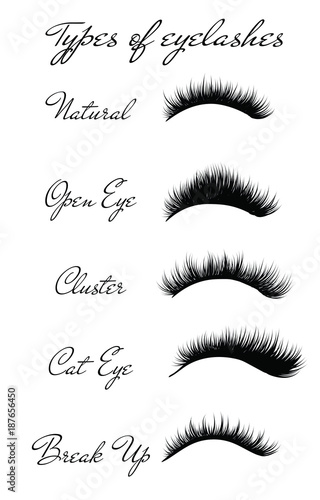 hand drawn womans various type set of full lashes typography square poster vector lettering - Eyelash Business Cards hand drawn womans various type set of full lashes typography square poster vector lettering - Eyelash Business Cards