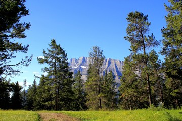Aussicht auf Rundle Mountain / Banff / Alberta