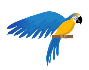 Parrot Ara ararauna flat icon, cartoon style. Blue-and-yellow macaw character. Colored bird flies. Isolated on white background. Vector illustration © Lucia Fox