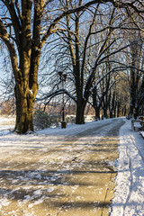 Snowy Kiev embankment in Uzhgorod. beautiful and sunny winter day. walk on fresh air along the chestnut tree alley