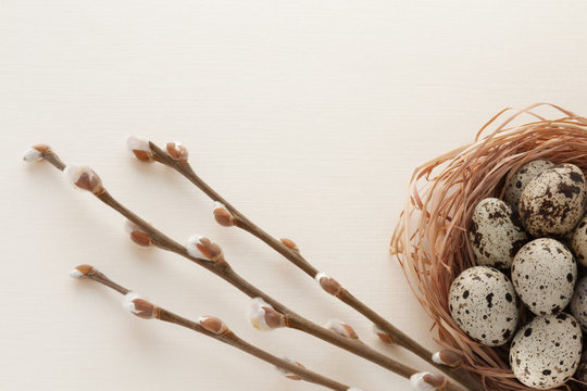 Willow and  quail Eggs on a creamy paper background. Easter concept for card, gift. Palm Sunday. Holy Week. Good Friday. Resurrection of Jesus. Pascha.