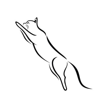Cat simple line art vector illustration