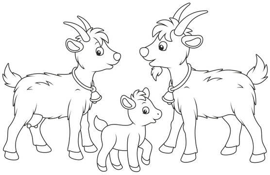 A small kid, a goat and a he-goat, a black and white vector illustration in funny cartoon style for a coloring book