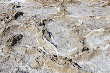 Salt flats at Badwater Basin, Death Valley National Park, California, USA