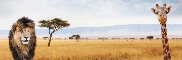 Africa Safari Web Header Lion and Giraffe