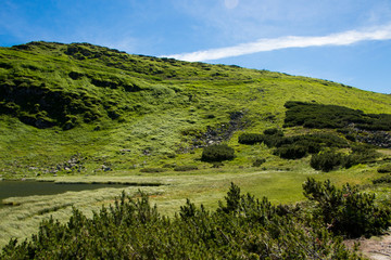 Obraz premium Landscape of the mountains and mountain natural green forest. Carpathian mountains. Europe. Ukraine.