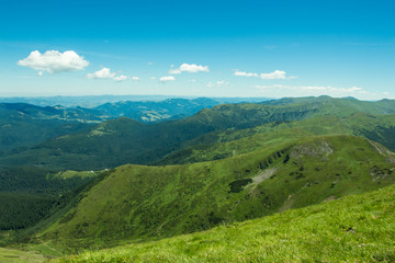 Landscape of the mountains and mountain natural green forest. Carpathian mountains. Europe. Ukraine.