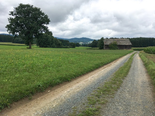 travel to Germany - road and vineyards along Mosel river in Cochem - Zell county on Moselle wine route in summer day Text on the road sign: town Zell Mosel , region Kaimt , county Cochem - Zell