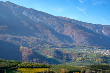 Vineyards of Italy, Trento region.