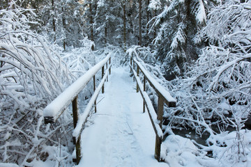 Einsame schneebedeckte Brücke