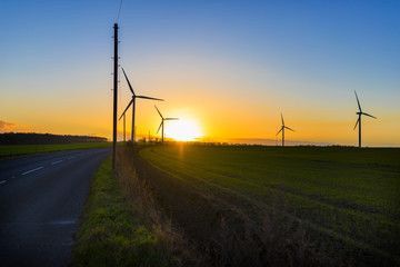 Obraz premium Country road leading to wind turbines in a field in the UK at sunset or sunrise against a clear winter sky