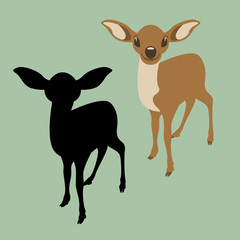 young deer  vector illustration flat style front view silhouette
