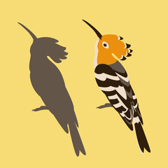 hoopoe   vector illustration flat style  silhouette black profile © wectorcolor