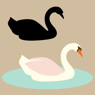 swan  vector illustration flat style  silhouette black profile
