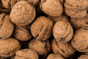 Walnut nut closeup