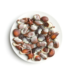 Sweet chocolate seashells.