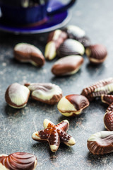 Sweet chocolate seashells.