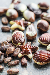 Sweet chocolate seashells.