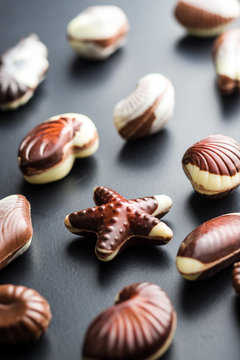 Sweet chocolate seashells.