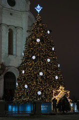 Christmas tree near Cathedral