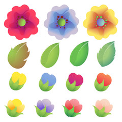 colored flower collection