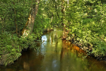 Szum river near Gorecko Koscielne. Poland