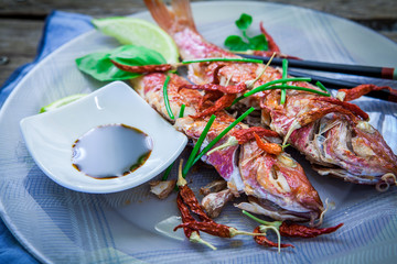 Red mullet fish