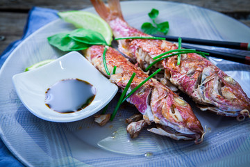 Red mullet fish