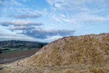 Zuckerrüben winterfest