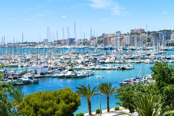 Palma de Mallorca Carrer Del Moll marina skyline with yachts - obrazy, fototapety, plakaty