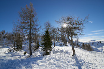 Panoramic landscape of Dolomiti mountain in Madonna di Campiglio. Italy