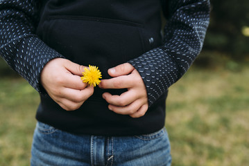 Midsection of boy holding flower while standing at park