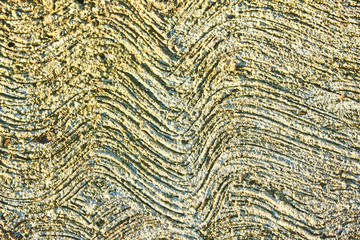 Texture of cement wall