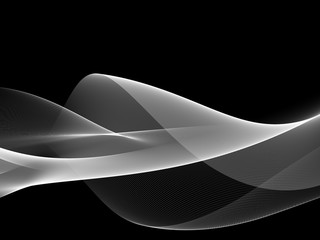      Abstract soft black and white graphics background for design 