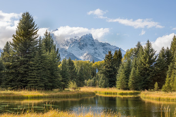 Early Autumn Landscape in the Tetons