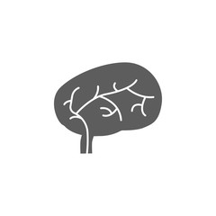 brain icon. Human organs element icon. Premium quality graphic design icon. Baby Signs, outline symbols collection icon for websites, web design, mobile app