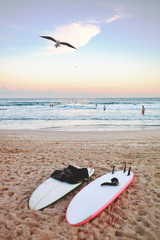 Surfboards lay on the sand at Bondi beach , while a seagull flies in the pink sunset sky, Sydney Australia.