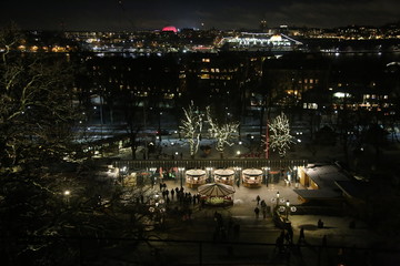 Fototapeta na wymiar Stockholm at night seen from Skansen. entrance to skansen. night stockholm. card