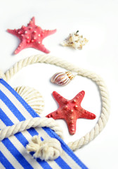 Fototapeta na wymiar Seashells and starfishes in a bag