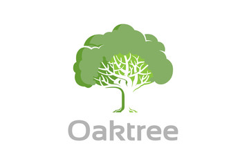 Obraz premium Green Creative Oak Tree Logo Design Symbol Illustration