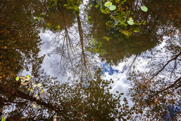 Beautiful view of the lake with reflection in the water and forest