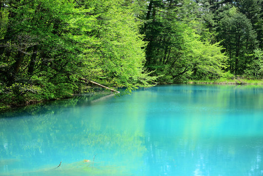 2 357 Best 五色沼 Images Stock Photos Vectors Adobe Stock