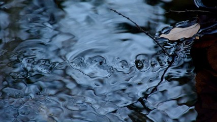 小川の流れにできる渦の列-（カルマン渦列）