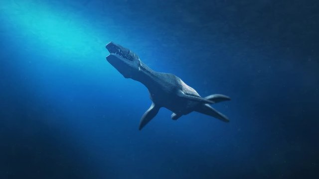 Simolestes - an extinct species of plesiosaur swims in late Jurassic ocean