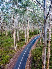 Boranup Forest