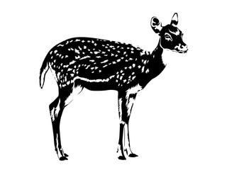 Naklejka premium spotted deer silhouette in black and white