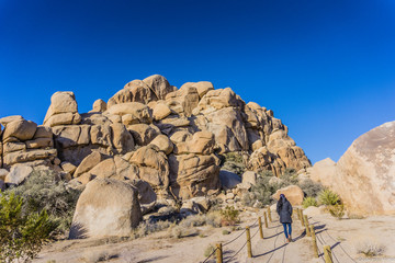 Exotic Rock Formation in Joshua Tree National Park